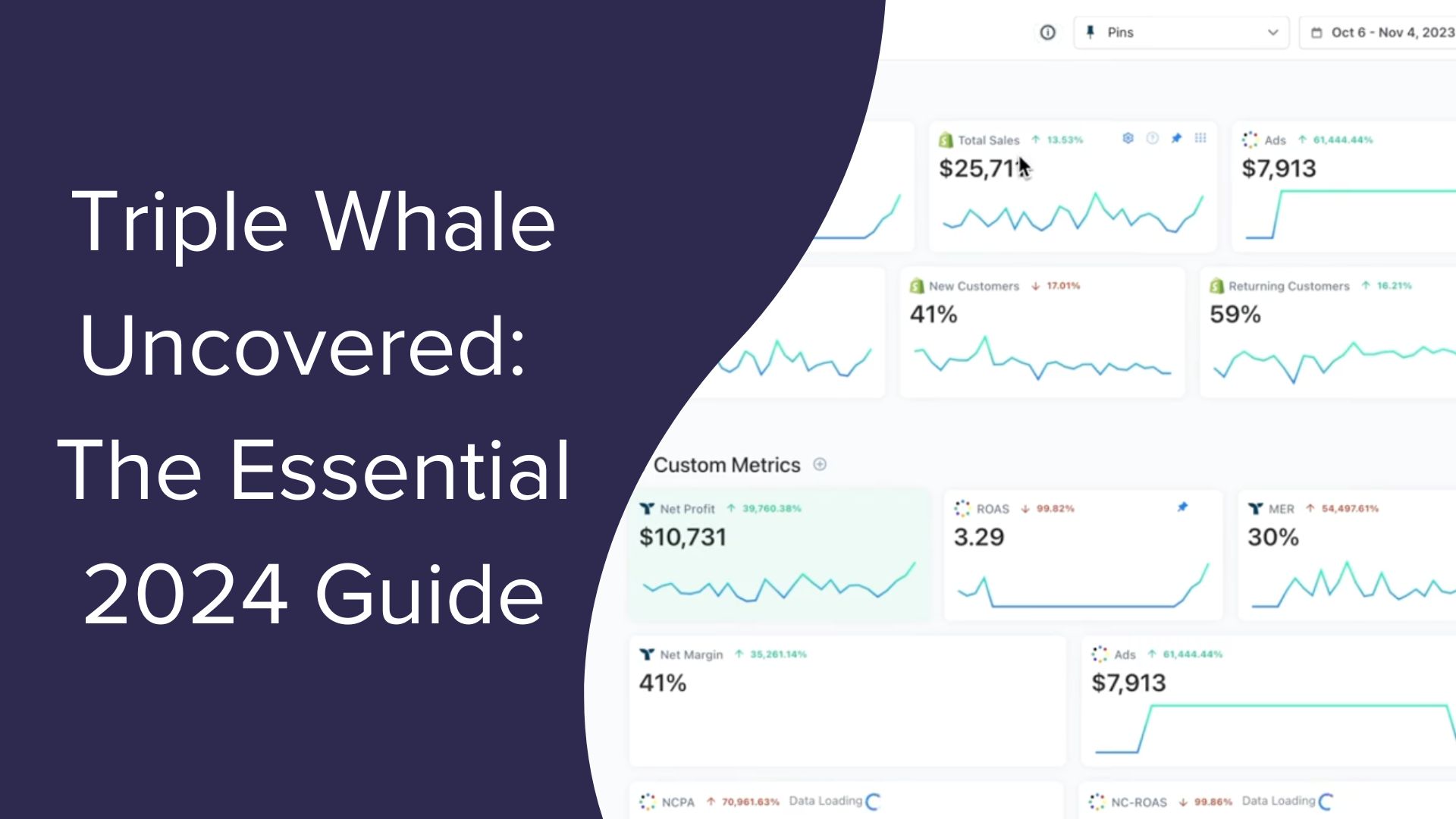 Triple Whale Uncovered: The Essential 2024 Guide